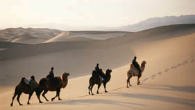 WILD MONGOLIA